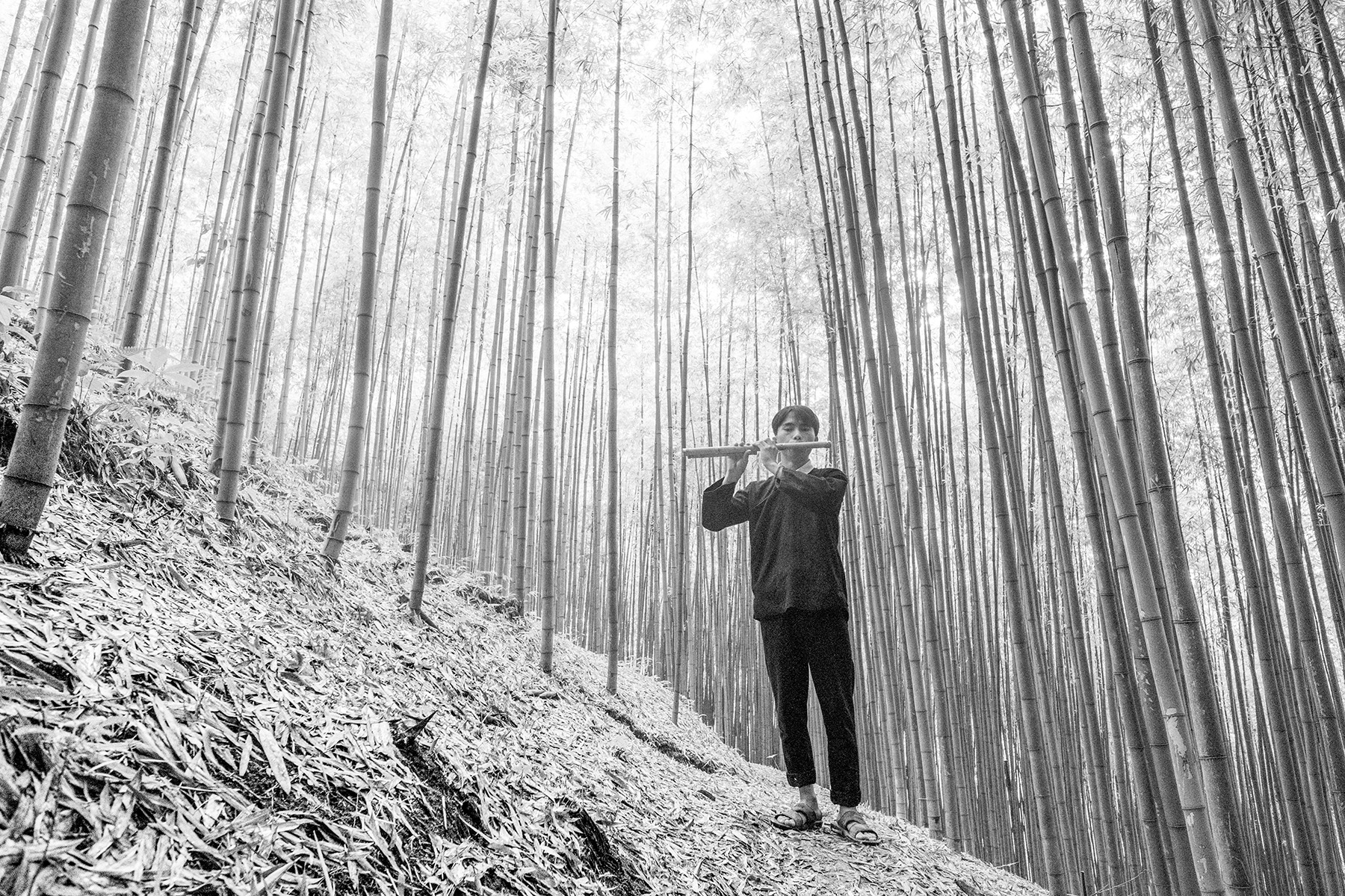 Flute player in the bamboo forest